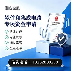 荆门软件和集成电路专项资金申报服务