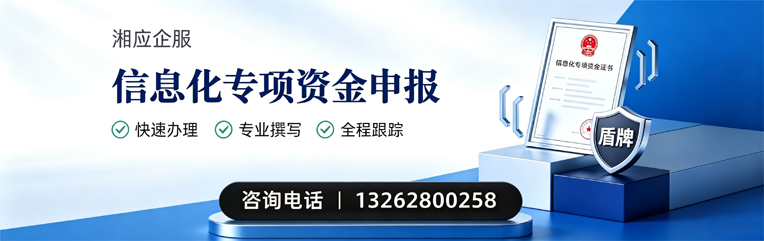 荆门信息化专项资金申报服务