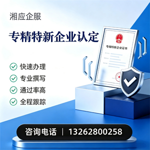 荆门专精特新企业申报服务
