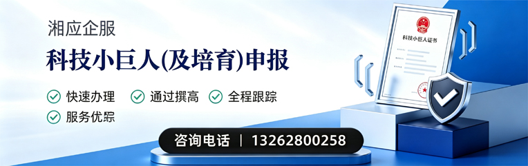 荆门科技小巨人及培育企业申报服务