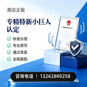 荆门专精特新小巨人申报服务