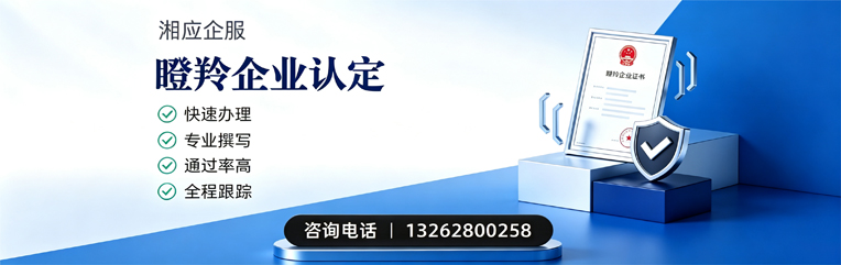 荆门瞪羚企业认定申报服务