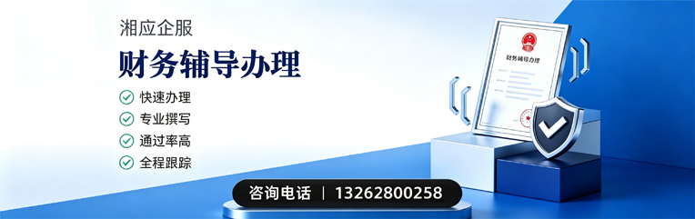 荆门财务辅导申请服务