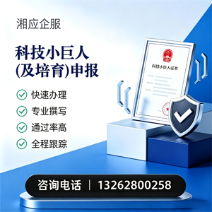 荆门科技小巨人及培育企业申报服务
