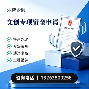 荆门文创专项资金申报服务