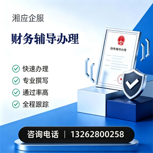荆门财务辅导申请服务