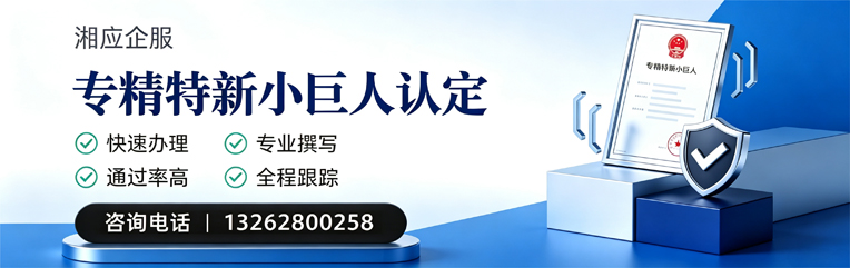 荆门专精特新小巨人申报服务
